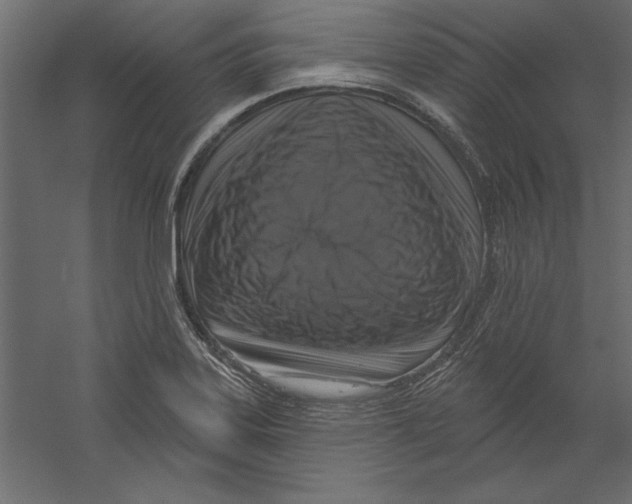 X0000060221323200511241229