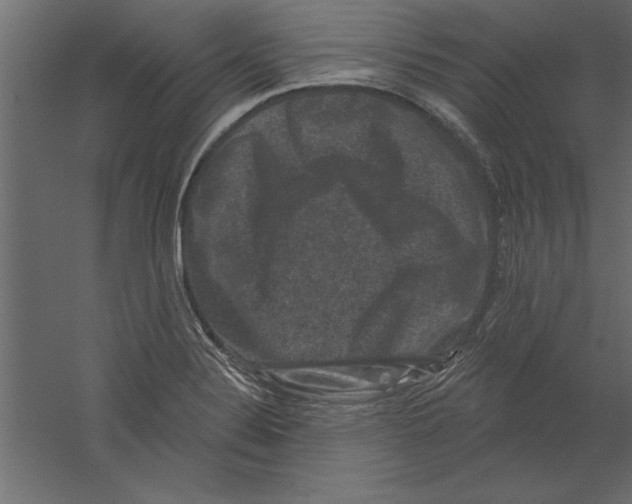 X0000060221324200511241229