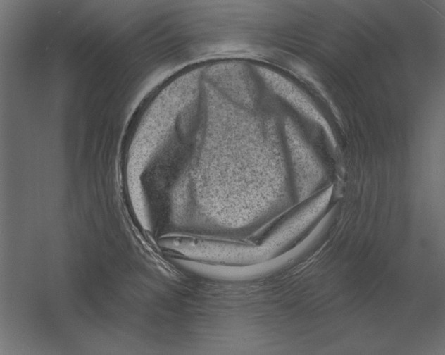 X0000060221328200511241229