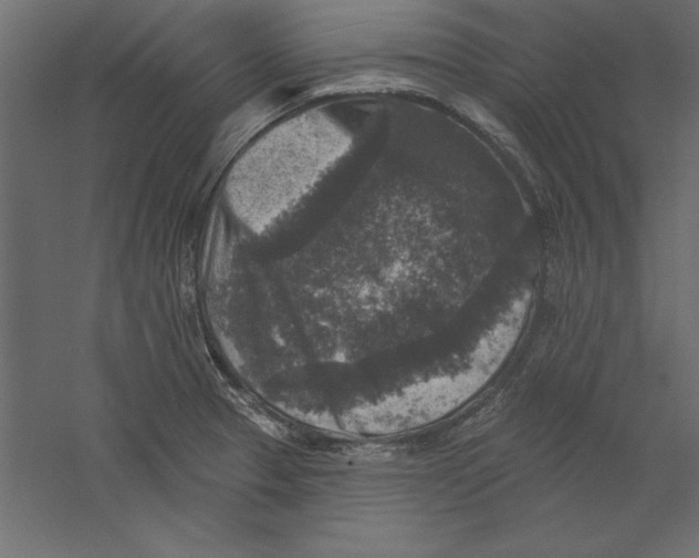 X0000060221329200511241229