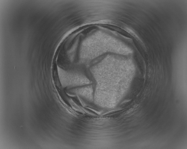 X0000060221332200511241229