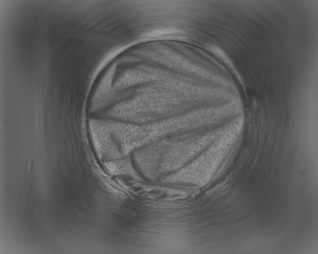 X0000060221336200511241229