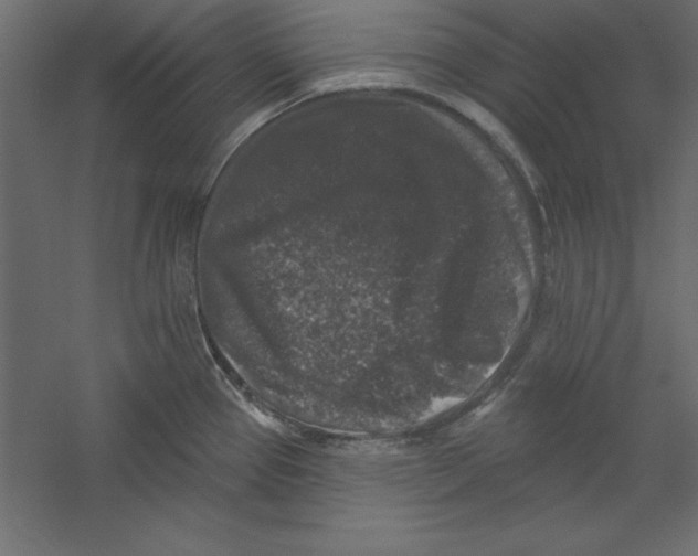 X0000060221337200511241229
