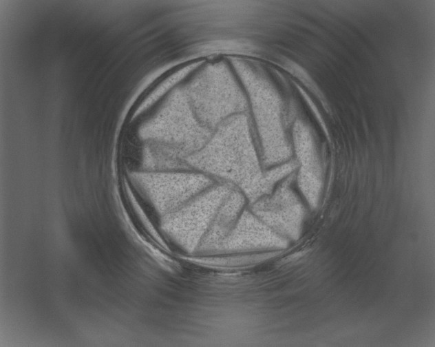 X0000060221339200511241229