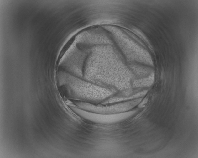 X0000060221340200511241229