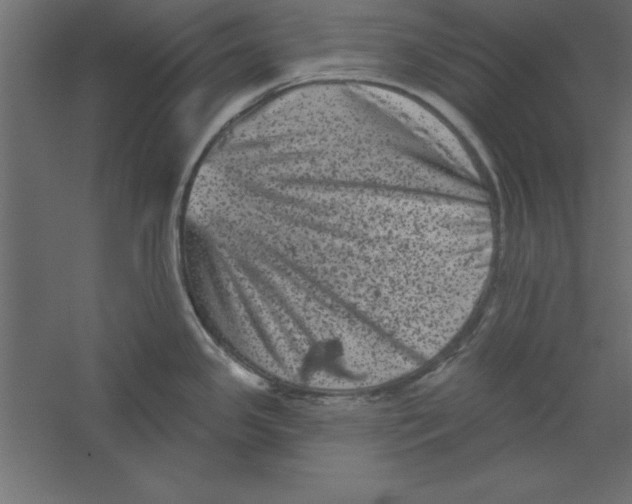 X0000060221341200511241229