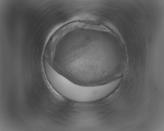 X0000060221344200511241229