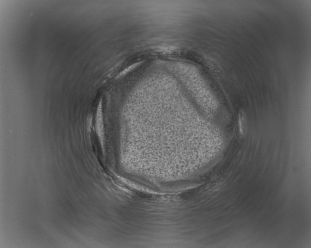 X0000060221347200511241228