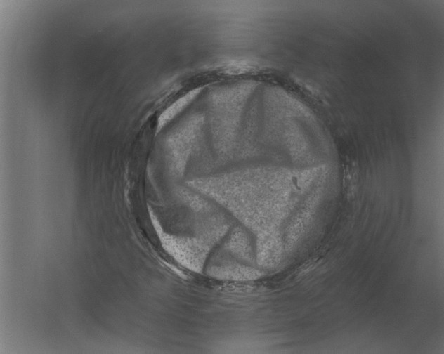 X0000060221349200511241228