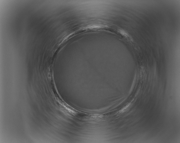 X0000060221353200511241228