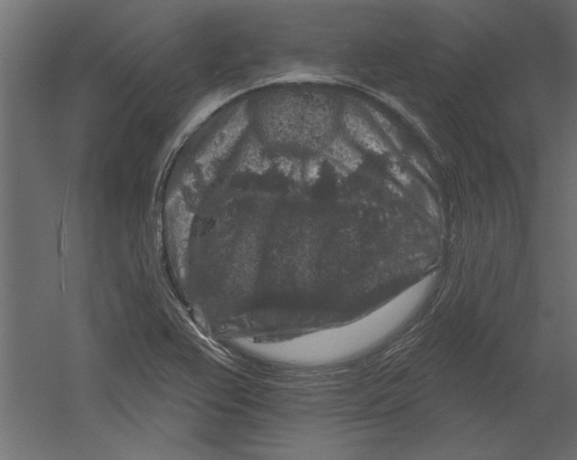 X0000060221367200511241228