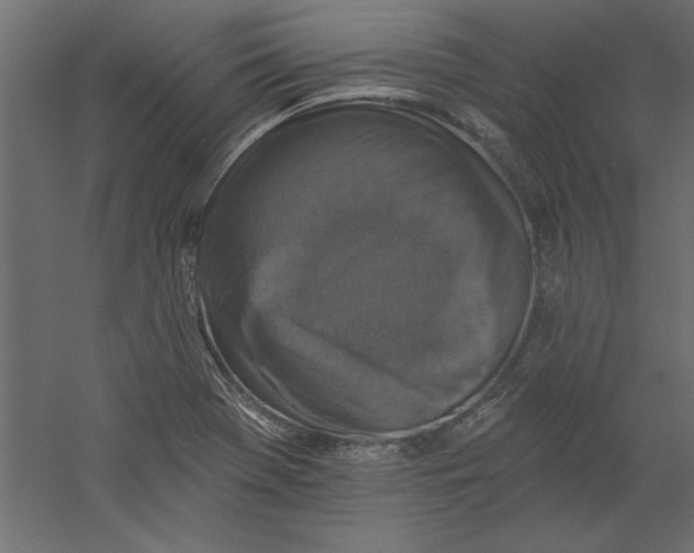 X0000060221369200511241228