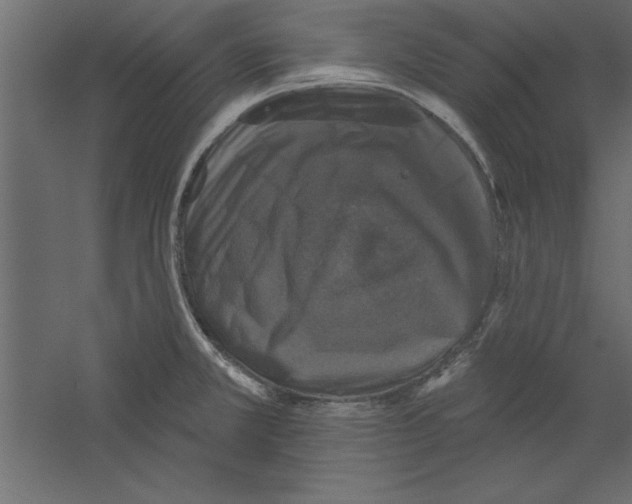 X0000060221381200511241228
