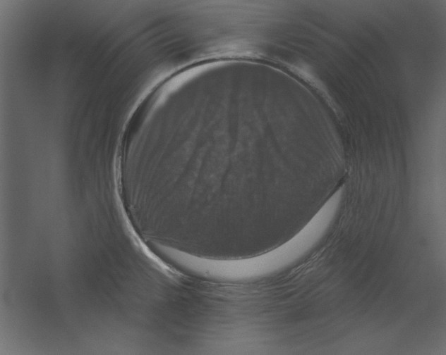 X0000060221383200511241228