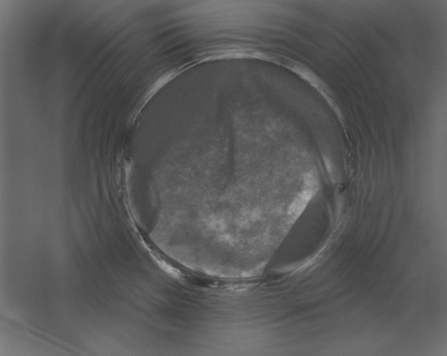 X0000060221385200511241228