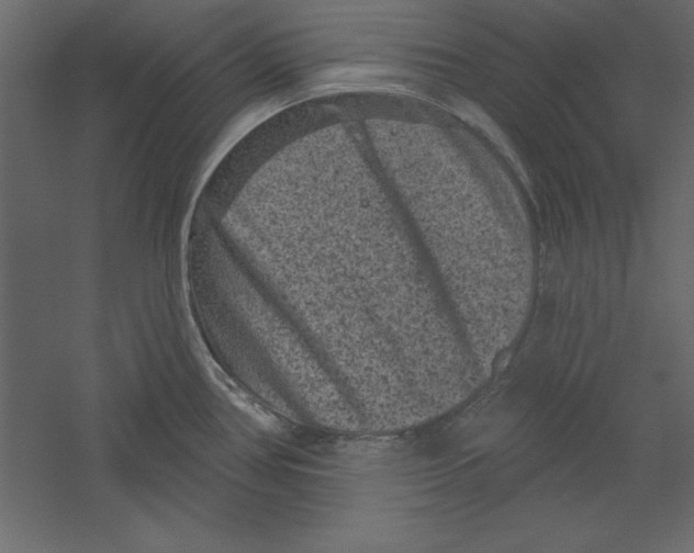 X0000060221386200511241228