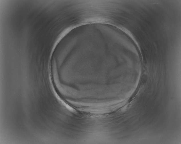 X0000060221389200511241228