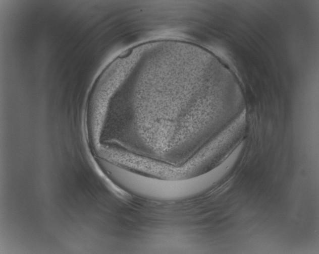X0000060221391200511241228