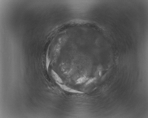 X0000060221397200511241227