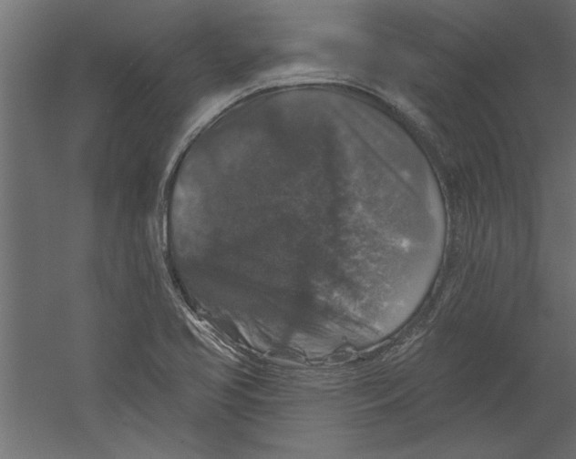 X0000060221413200511241227