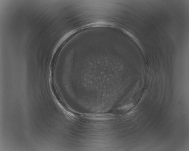 X0000060221418200511241227