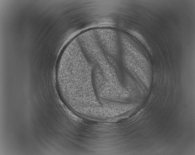 X0000060221420200511241227
