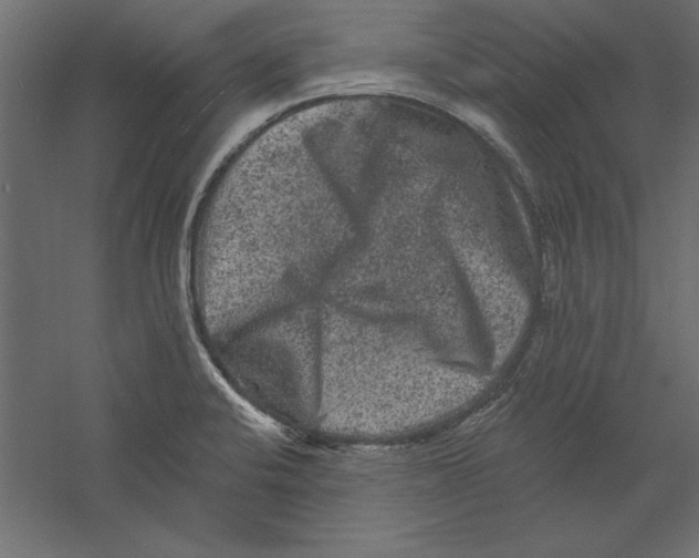 X0000060221424200511241227