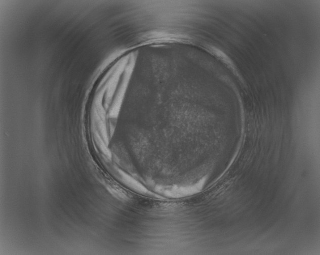 X0000060221427200511241227