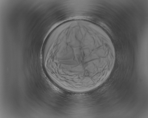 X0000060221428200511241227