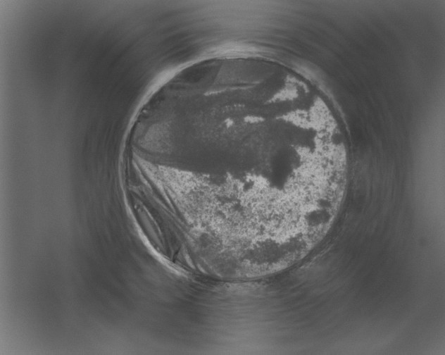X0000060221429200511241227