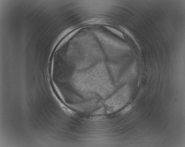 X0000060221434200511241227