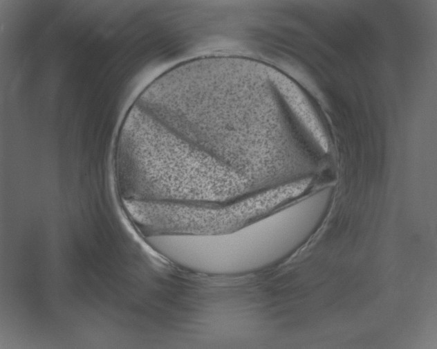 X0000060221440200511241228
