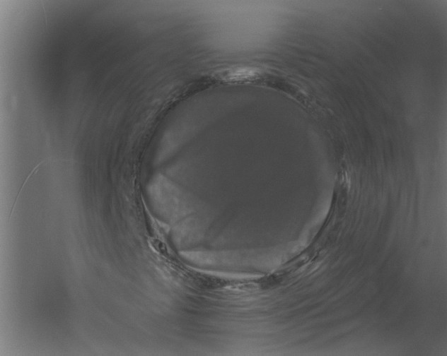 X0000060221441200511241227