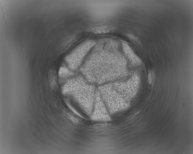 X0000060221444200511241227