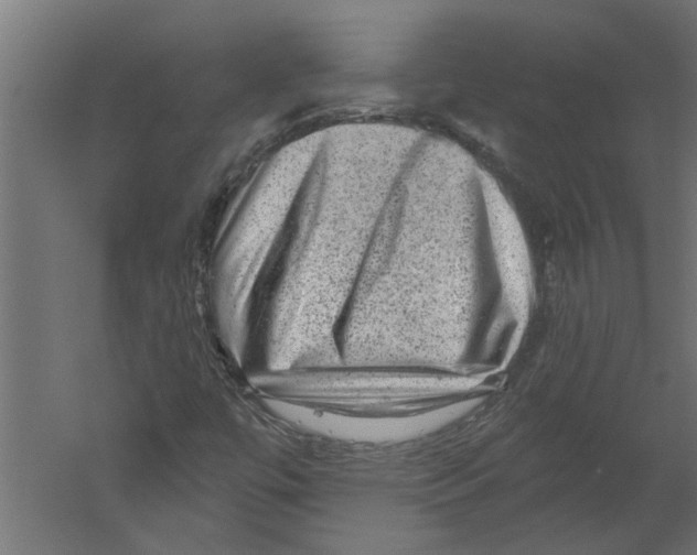 X0000060221447200511241227
