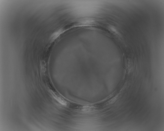 X0000060221449200511241227