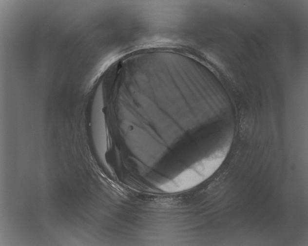 X0000060221455200511241226