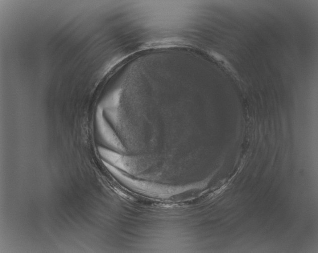 X0000060221457200511241226