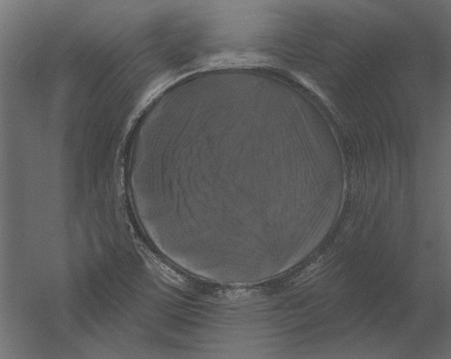X0000060221459200511241226