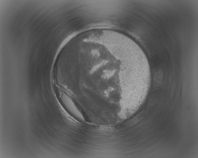 X0000060221466200511241226