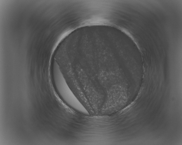 X0000060221469200511241226