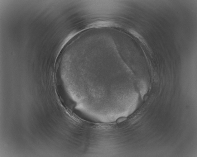 X0000060221473200511241226