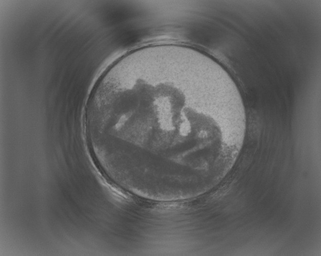 X0000060221474200511241226