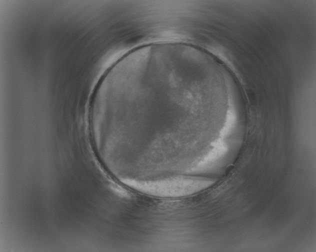 X0000060221477200511241226