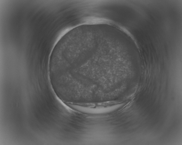 X0000060221487200511241226