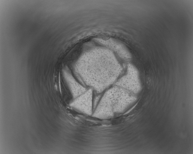 X0000060221490200511241225
