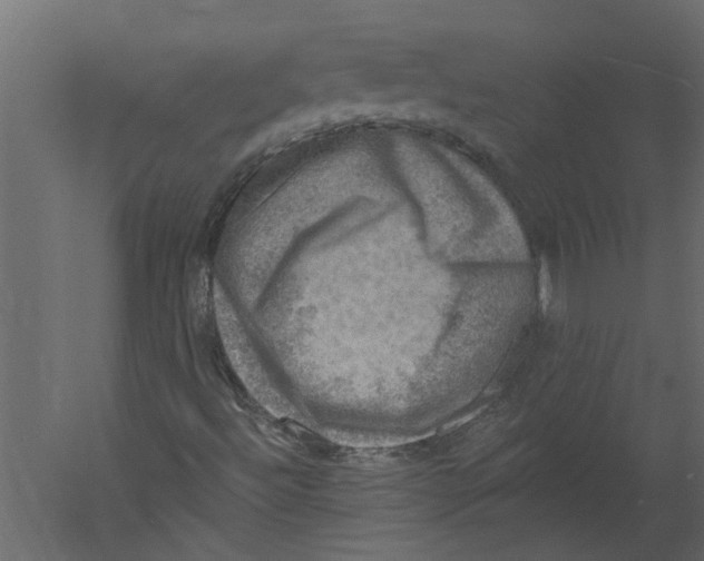 X0000060221492200511241225