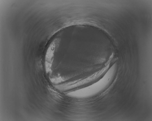 X0000060221497200511241225
