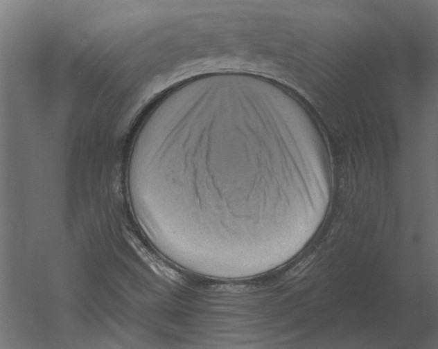 X0000060221499200511241225