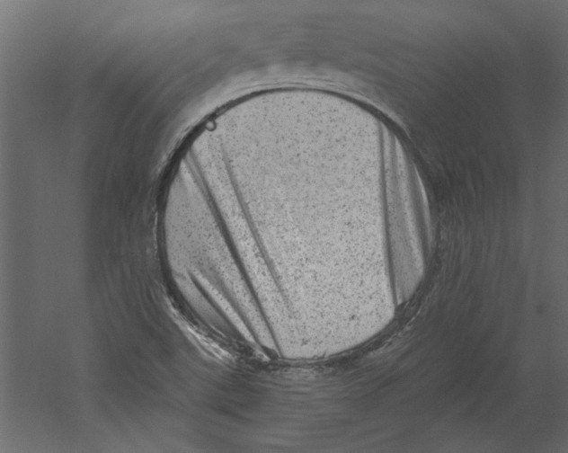 X0000060221507200511241225